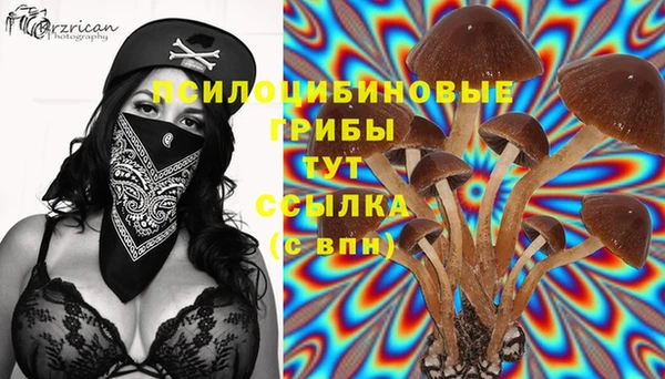ECSTASY Карталы
