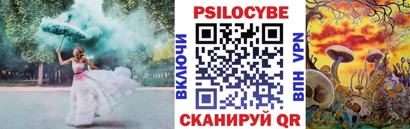 Псилоцибиновые грибы Psilocybe  Купить  Дигора 