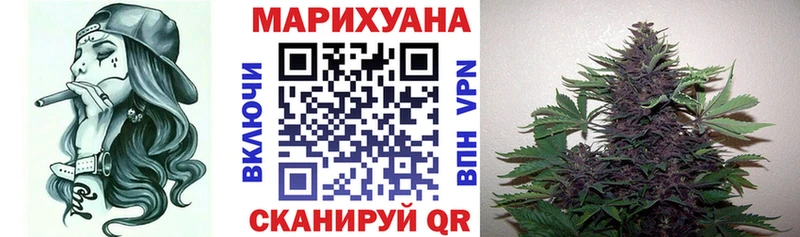 Конопля Bruce Banner  Купить где  Дигора 